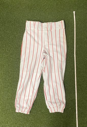 Champro Baseball Pants (3931)