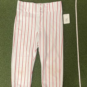 Teamwork Baseball Pants (3941)