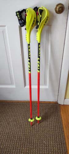 Leki WCR Lite 3D SL Slalom Ski Poles + Leki WC Compact JR Pole Guards