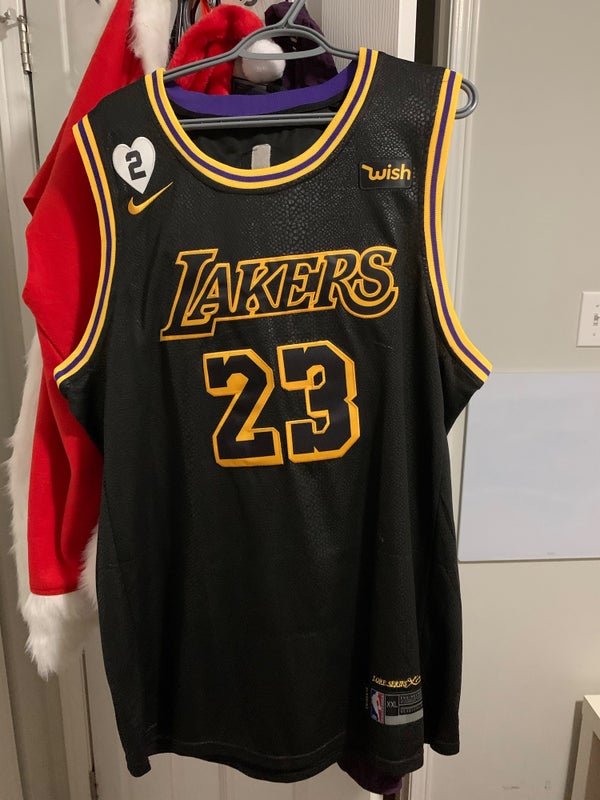 Lebron James Los Angeles Lakers Pinstripe Jersey, Men's Fashion