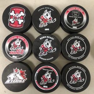 OHL Niagara IceDogs official game pucks