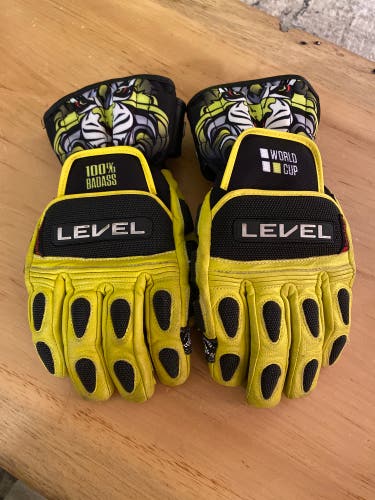 Level Ski Gloves