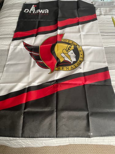 Ottawa Senators Banner