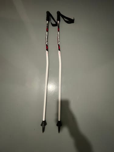 Used 46in (115cm) Racing GS Ski Poles