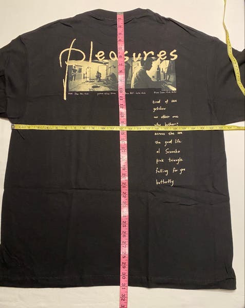 PLEASURES X Weezer ピンカートン アルバムジャケット Tシャツ org.jpg
