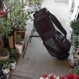 FULL SET LADIES GOLF CLUBS 3 WOODS 11 IRONS STAND BAG PUTTER & EXTRAS VERY NICE