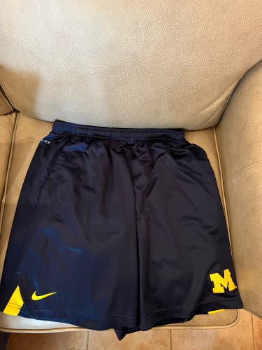 Michigan Men's Nike Shorts