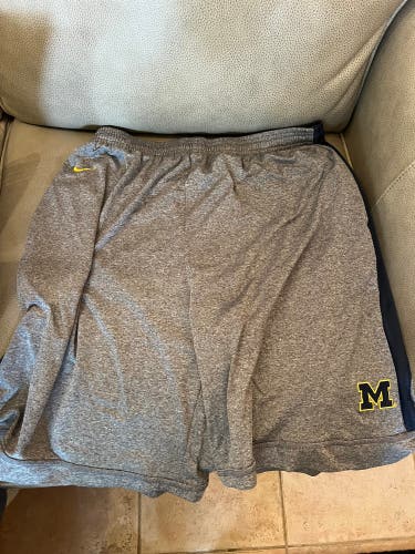 Michigan Wolverines Nike shorts