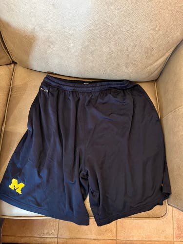Michigan Wolverines Nike training shorts