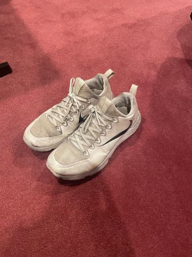 Adult Size Men's 10.5 (W 11.5) Nike Shoes