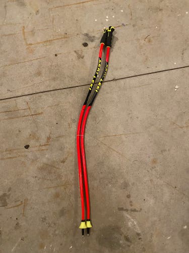 Leki DH/SG Poles