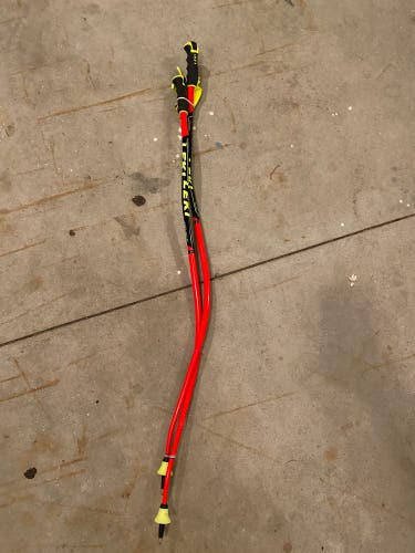 Leki DH/SG Poles