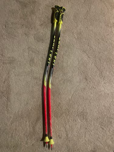 Leki GS World Cup Ski Poles