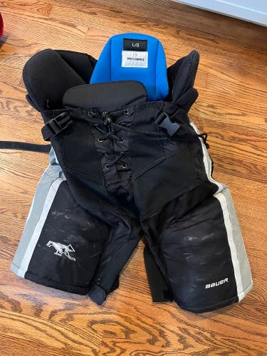 Senior Large Bauer Pro Stock Nexus Custom Pro Hockey Pants Providence Friars