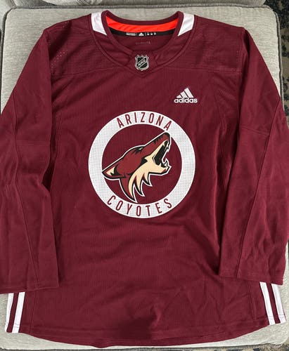 Arizona Coyotes Practice Jersey
