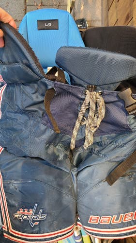 Senior Used Large Bauer Nexus Hockey Pants Pro Stock from BCHL