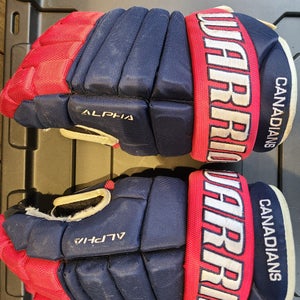 Used Warrior Alpha Gloves 15"