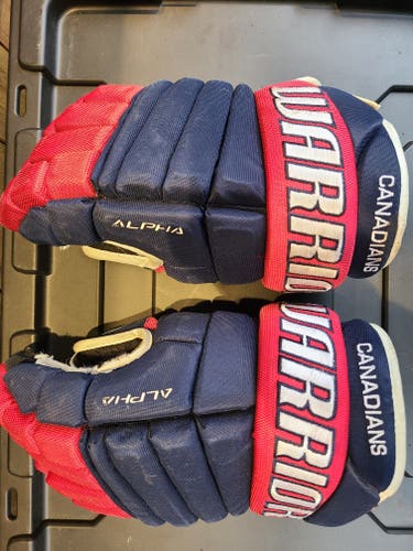 Used Warrior Alpha Gloves 15"