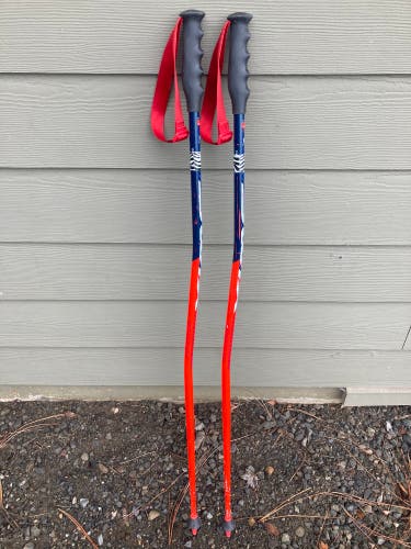 SWIX racing ski poles, WC Pro 115 cm