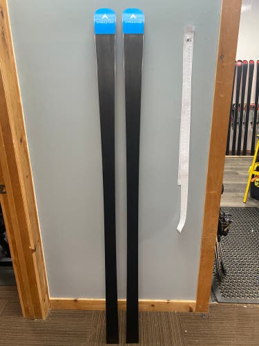Used Women's 2022 Dynastar 188 cm Racing Speed WC FIS GS Skis Without Bindings