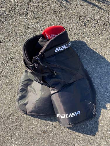 Senior New Medium Bauer Nsx Hockey Pants