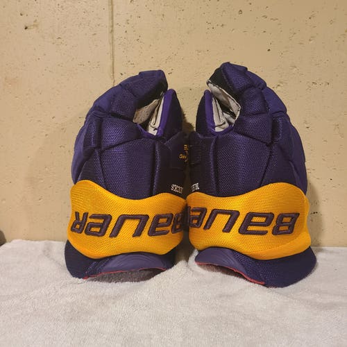14" Mankato State 1x pro gloves