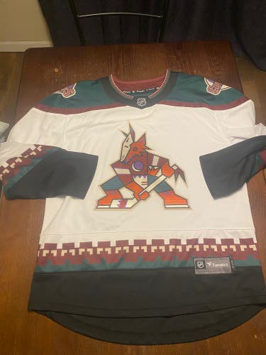 Arizona Coyotes Fanatics Replica Kachina Jersey