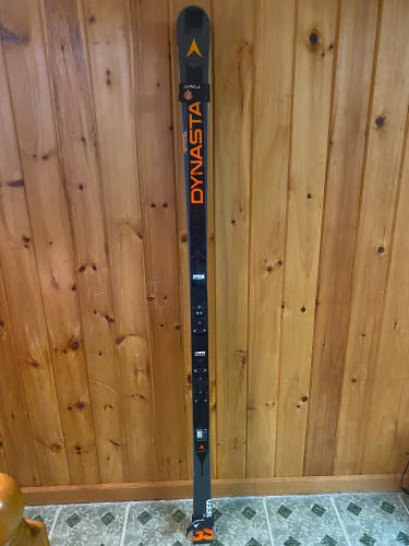 Used 193 cm Without Bindings Speed WC FIS GS Skis