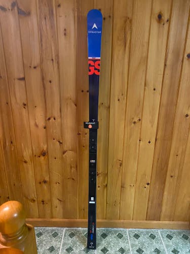 Used 188 cm Speed WC FIS GS Skis