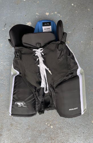 Bauer Nexus Pro XL Hockey Pants - Providence College