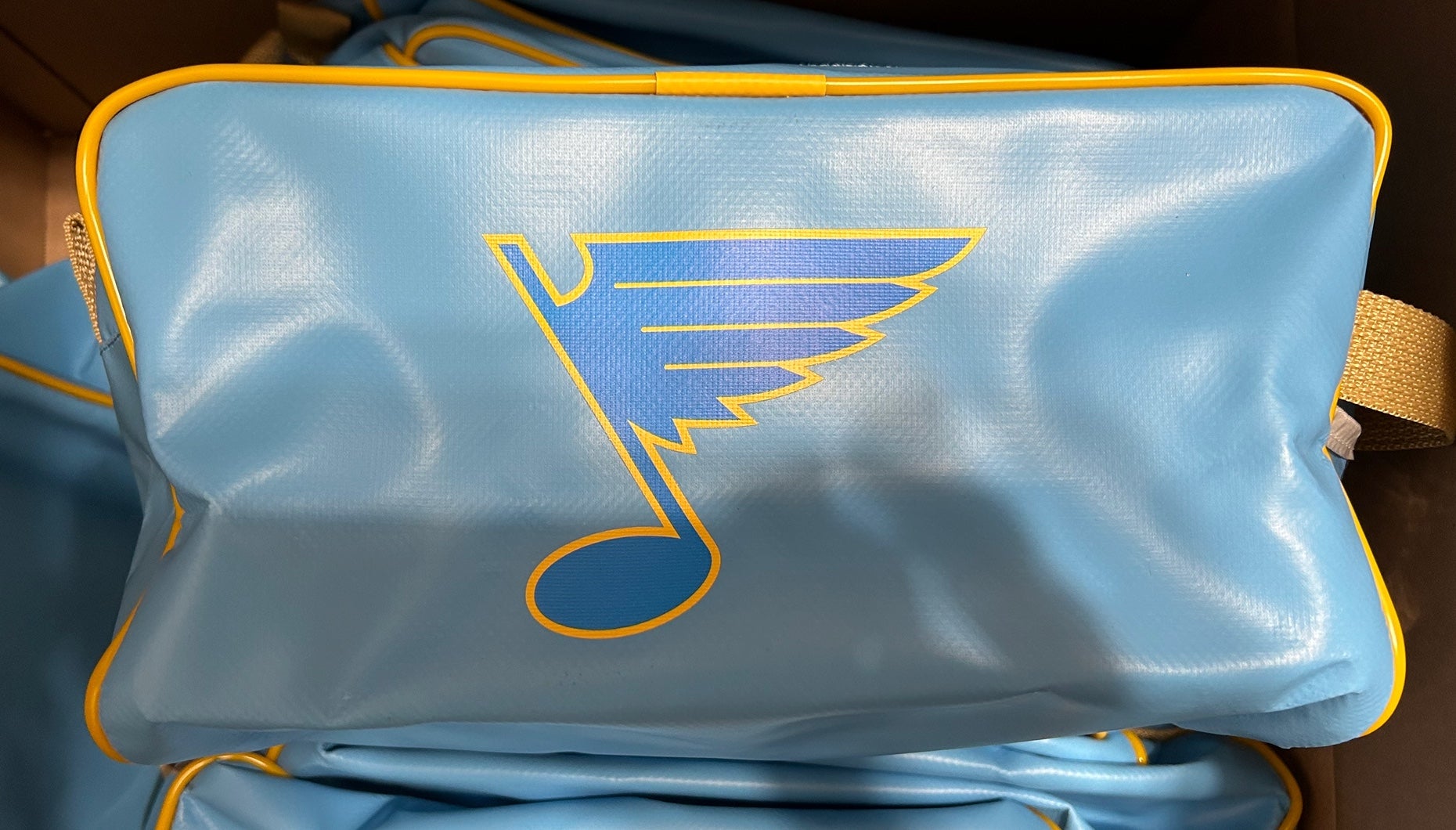 St Louis Blues Purse With a Vinyl Bottom 