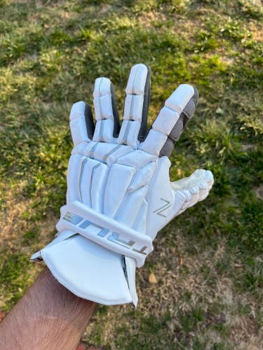 Used 13’ True Zerolyte Gloves
