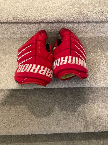 Warrior 13" Alpha QX Pro Gloves