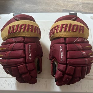 Warrior 11" Alpha Pro Gloves