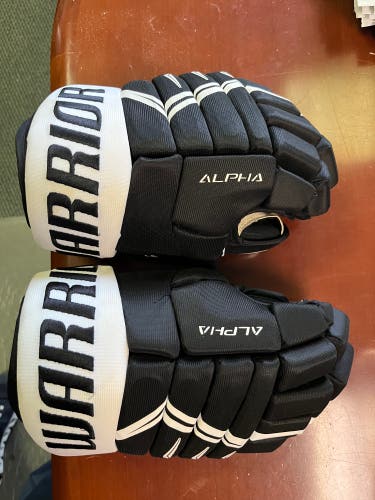 Warrior 13" Alpha DX4 Gloves