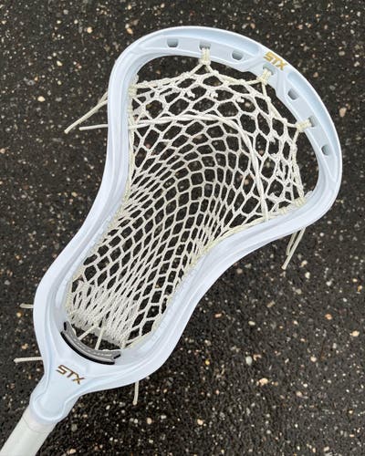 STX Stallion 900