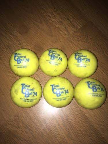 Total Control weighted Training balls