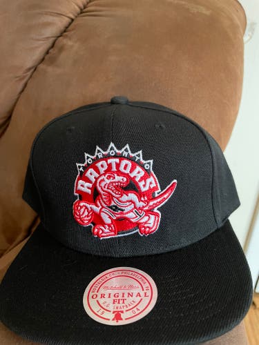 Toronto Raptors Mitchell & Ness NBA SnapBack Hat