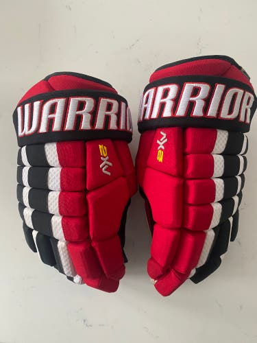 Warrior 15" Dynasty AX2 Gloves