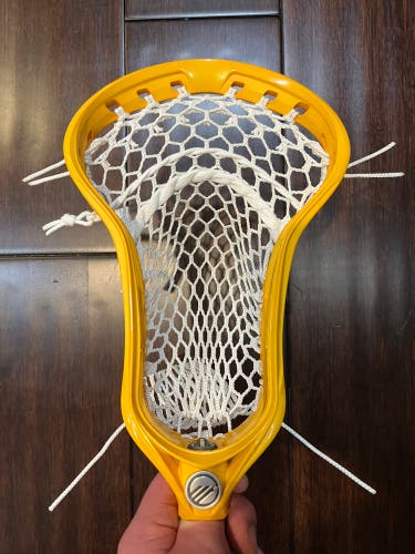 New ‘Athletic Gold’ Optik 3.0 Head