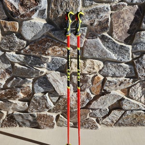 Leki Trigger Series Ski Poles