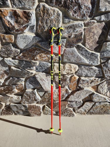 Leki Trigger Series Ski Poles