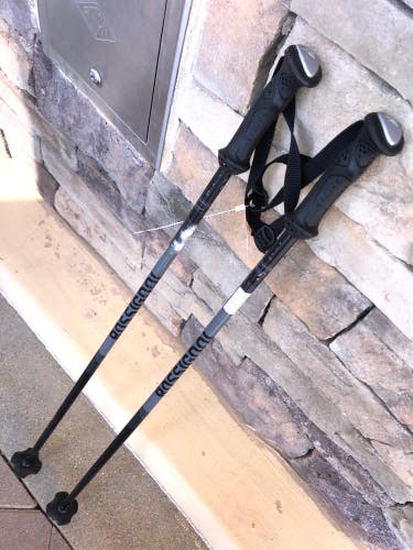 (95cm) Rossignol Ski Poles