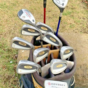 Complete Set of Titleist Golf Clubs + Bag