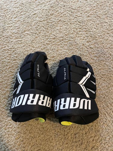 Warrior 14"  Alpha DX5 Gloves