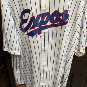 Vladimir Guerrero Expos jersey
