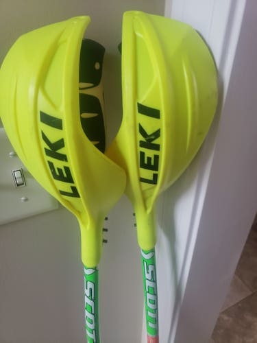 Scott World Cup GS Ski Poles With Leki WC Gate Guards