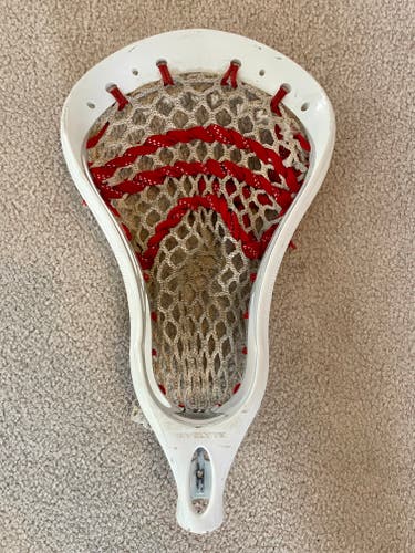 Warrior Evolyte Head - strung, used