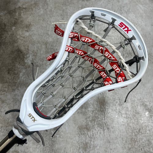 BN Stallion 700 Head
