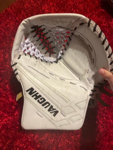 Used Regular  Velocity VE8